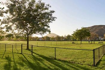 A fenced in dog park with a tree and mountains in the background
